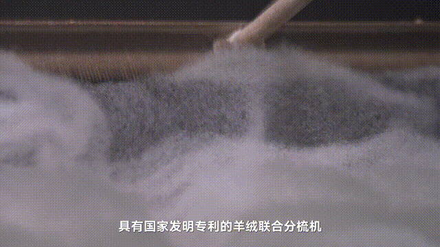 IMG_4492.GIF