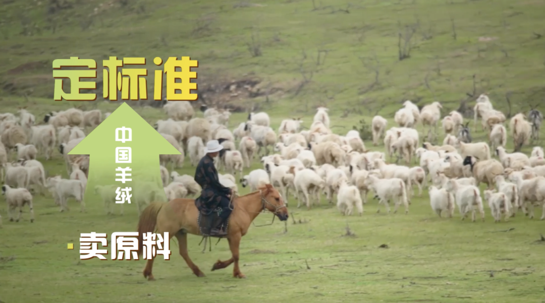 截屏2026-01-07 17.02.43.png