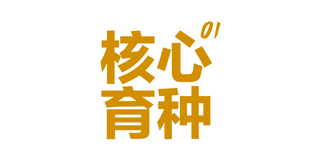 核心育种.png