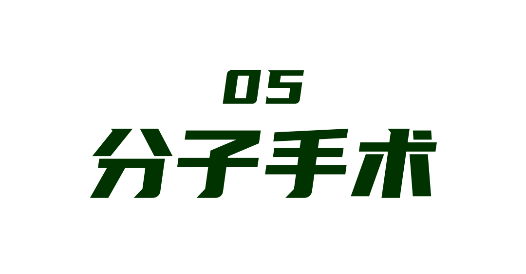 分子手术.png