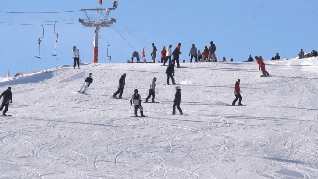 5.gif