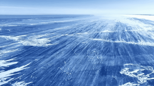 4.gif