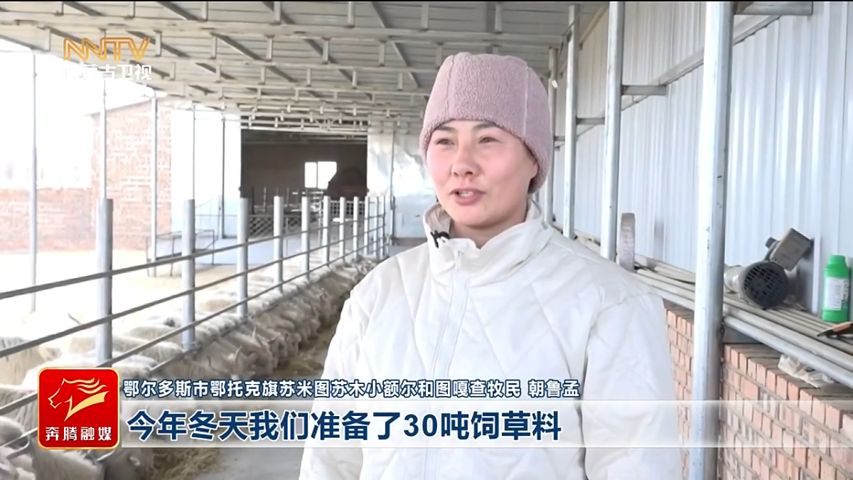 视频截图