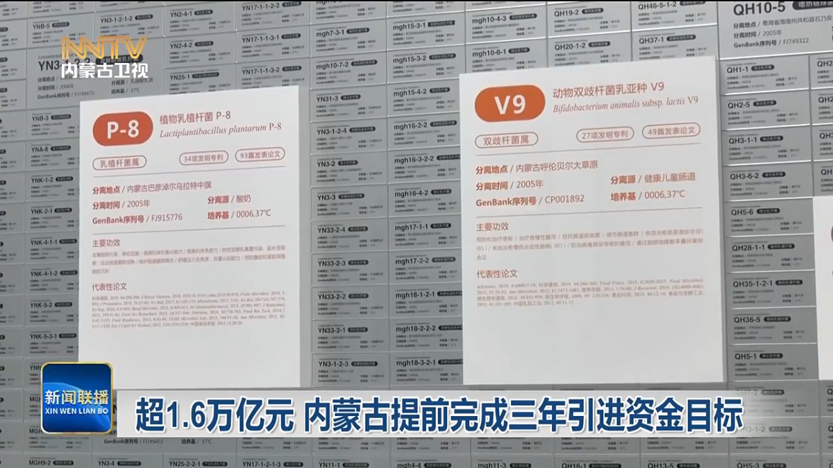 视频截图