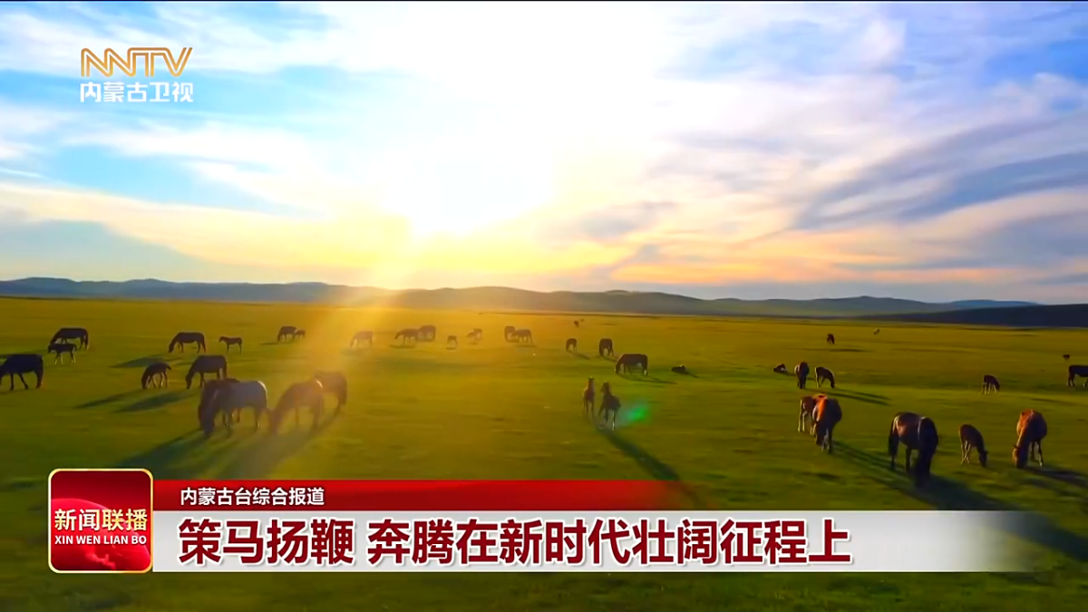 视频截图