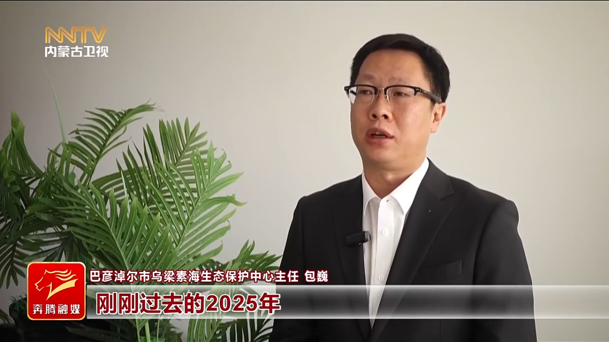 视频截图