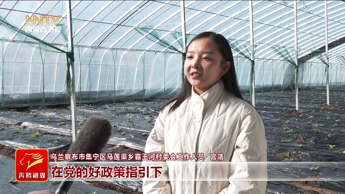 视频截图