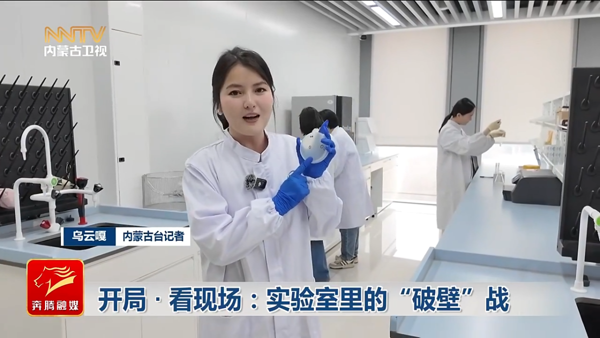 视频截图