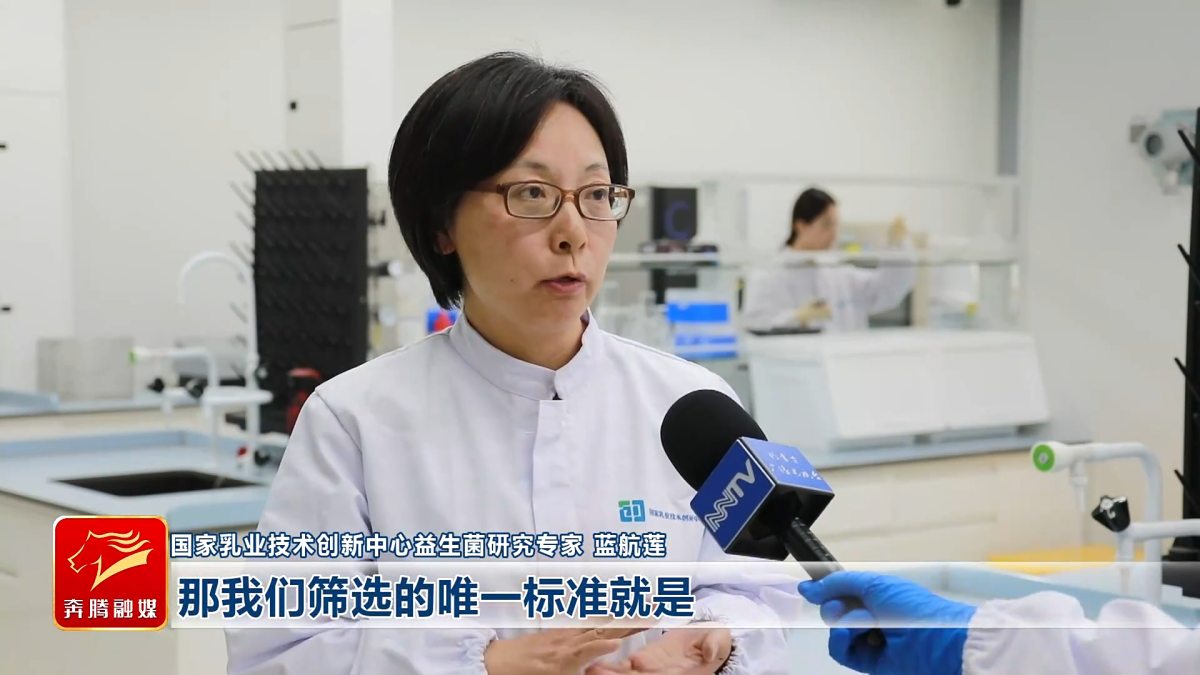 视频截图