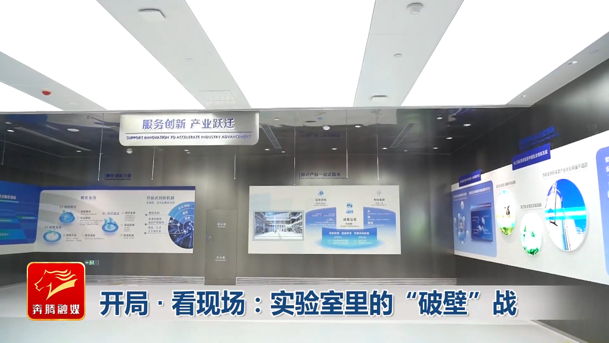 视频截图