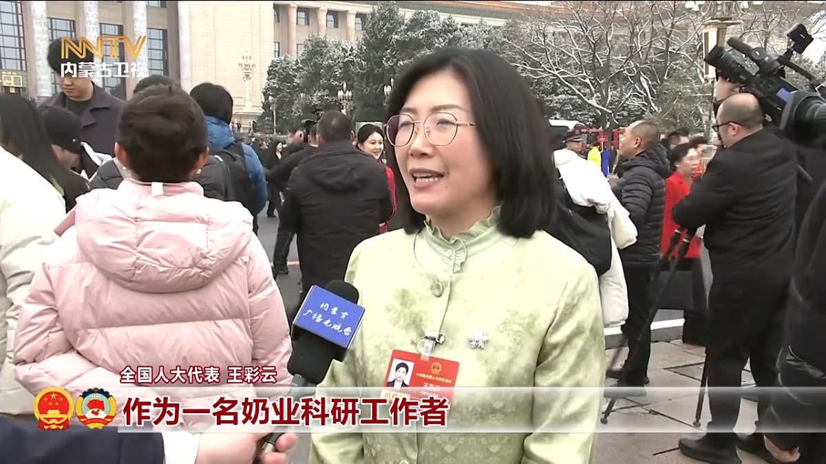 视频截图