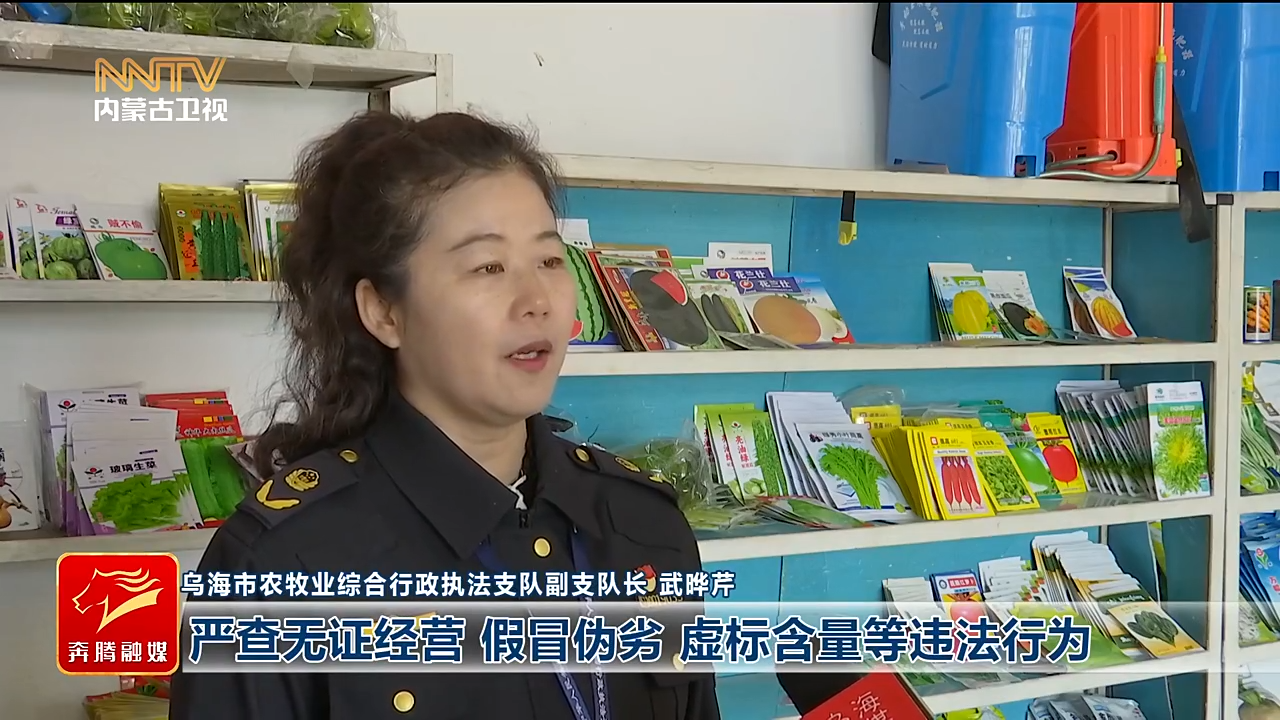 视频截图