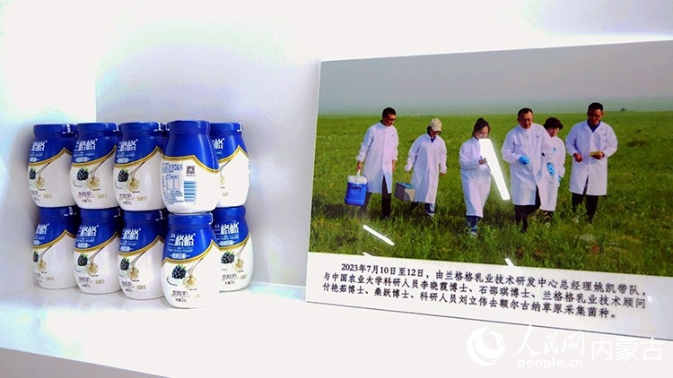 姚凯带领采菌队深入草原采集菌种。人民网记者 张力洋摄