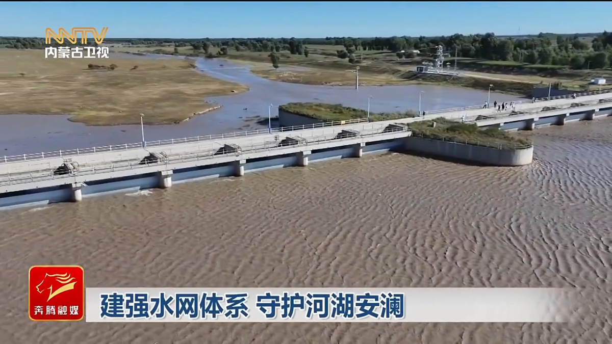 视频截图