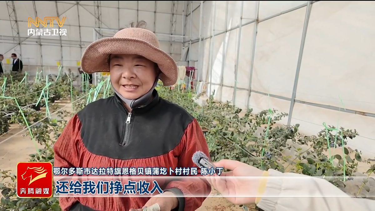 视频截图