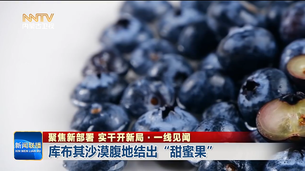 视频截图