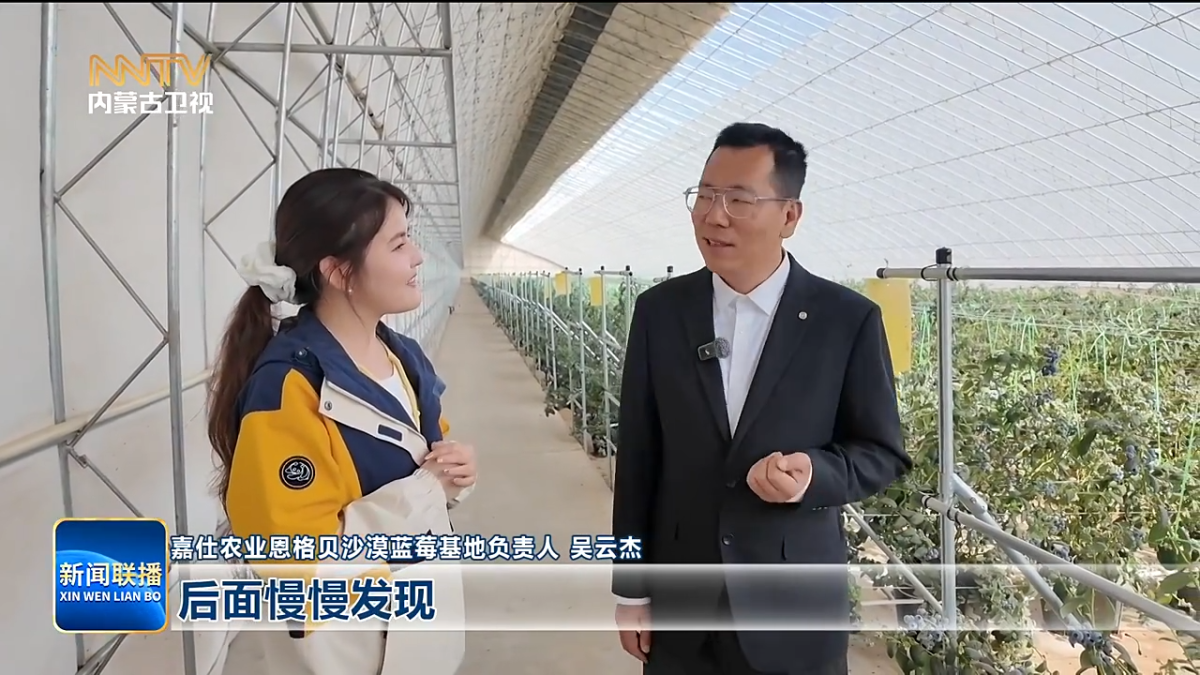 视频截图