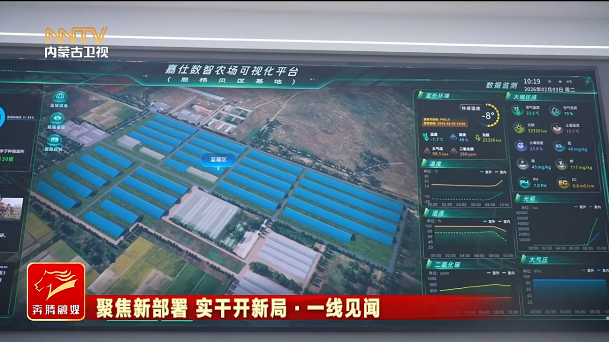 视频截图