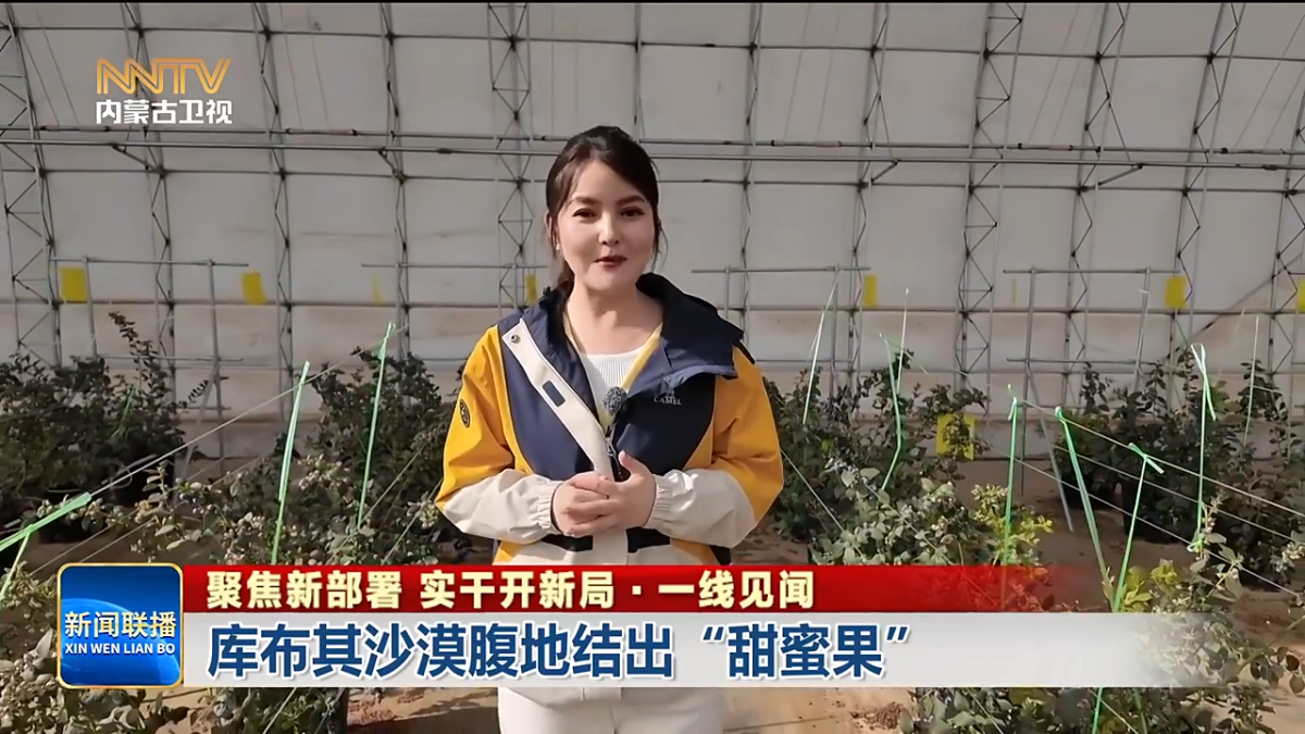 视频截图
