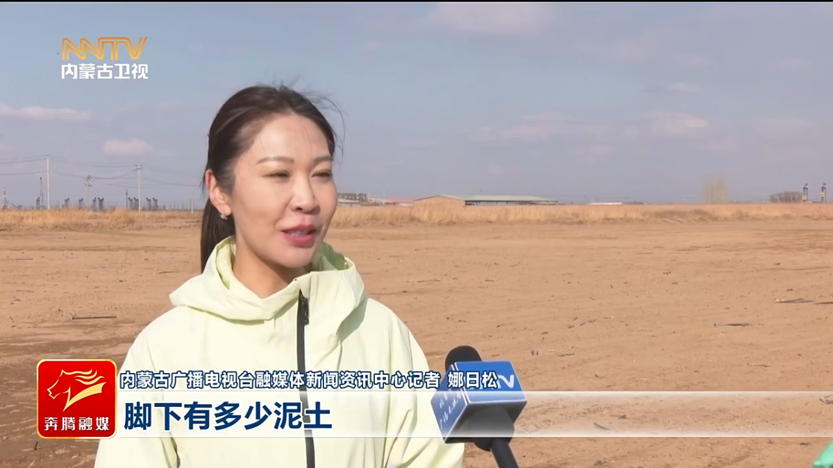 视频截图