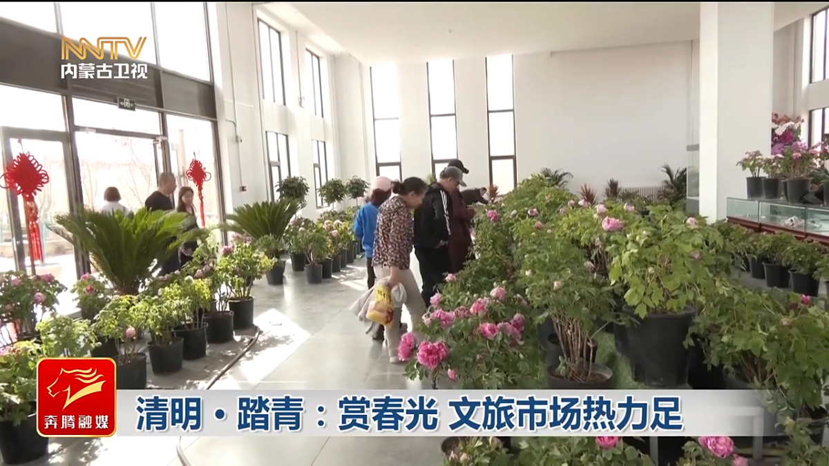 视频截图