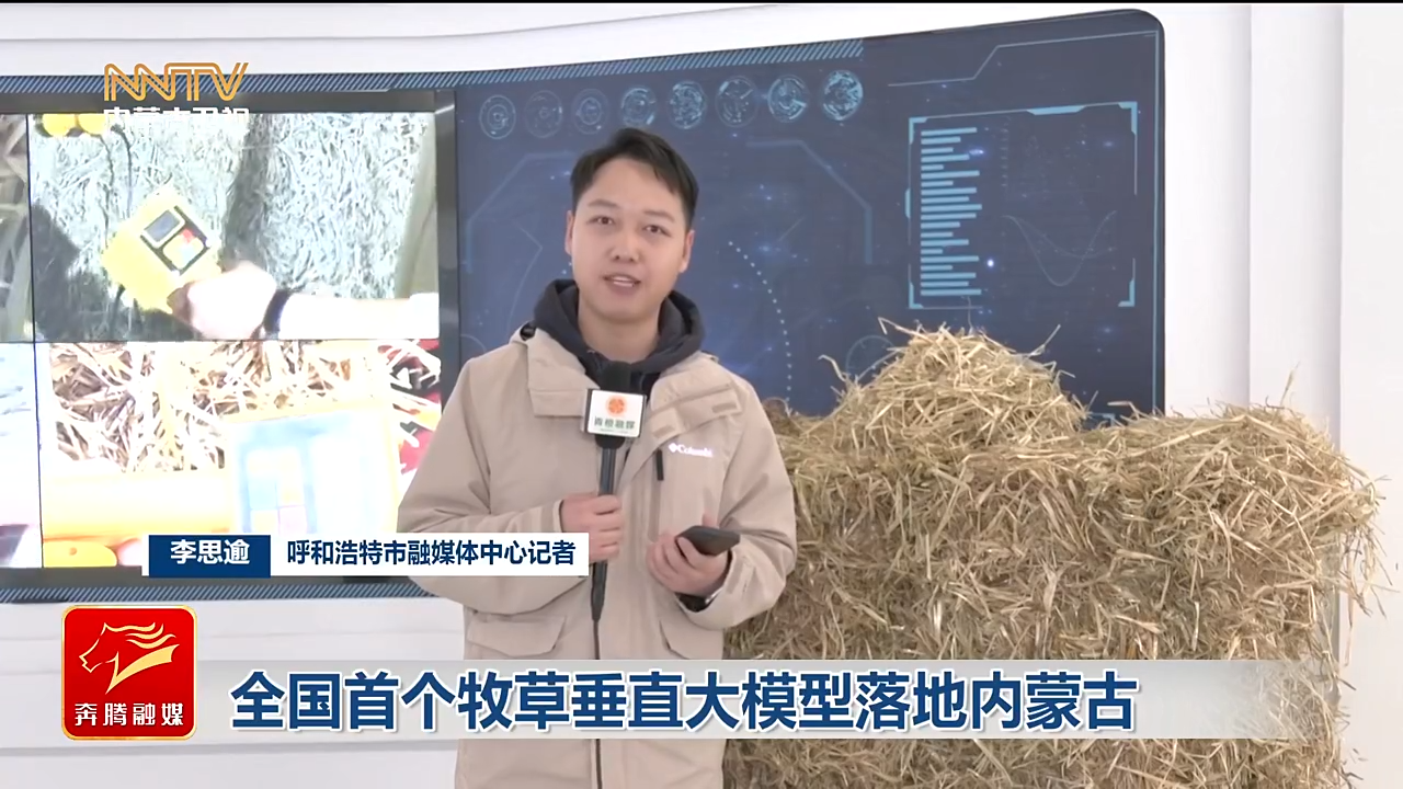 视频截图