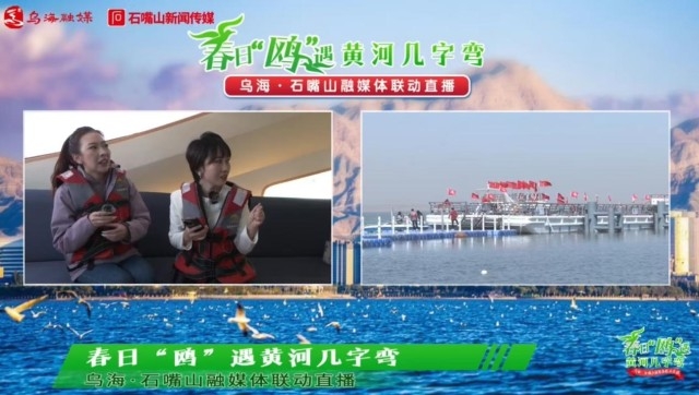 图片10.jpg